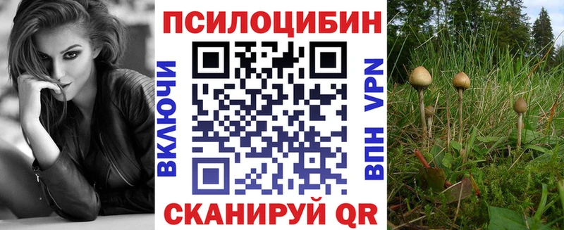 Купить где Кимовск Псилоцибиновые грибы Magic Shrooms